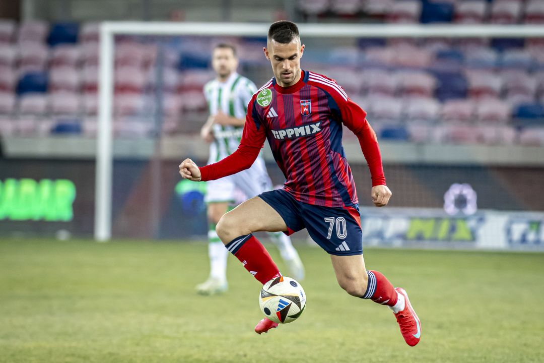 Holender Filip