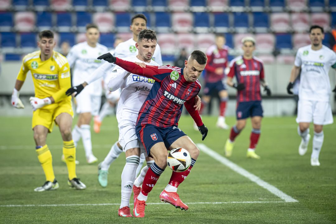 Holender Filip