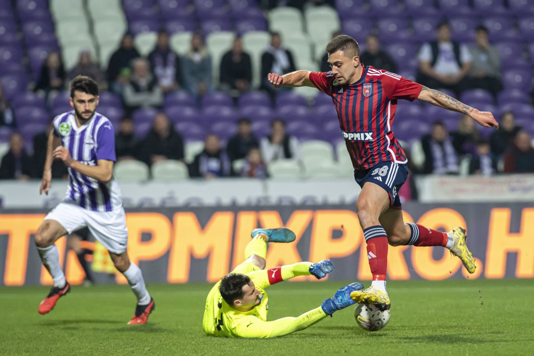 Nejc Gradisar